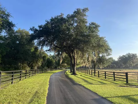 3920 Bill Carlton Rd, Perry, FL 32347 photo 31