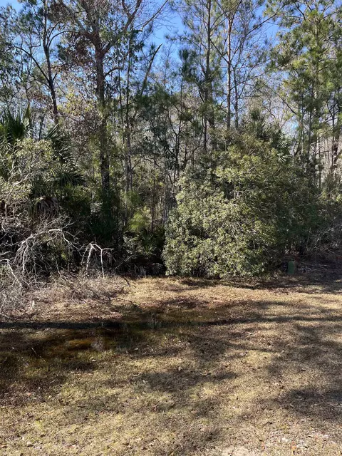 lot10 Burnt Pine Loop, Saint Marks, FL 32355 photo 3