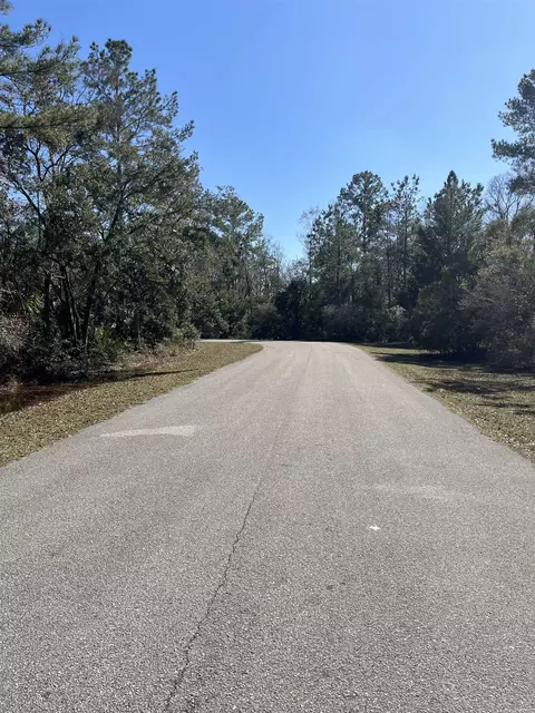 lot10 Burnt Pine Loop, Saint Marks, FL 32355 photo 2