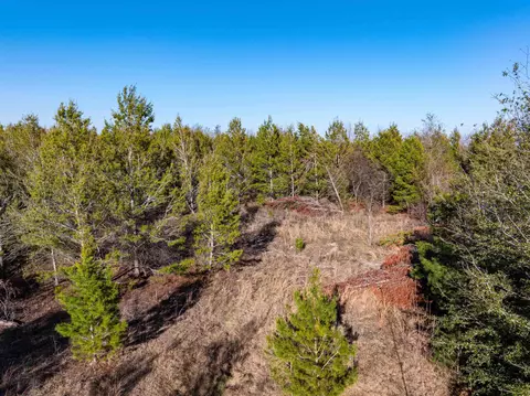 Nnn NE Loblolly Trail, Lee, FL 32059