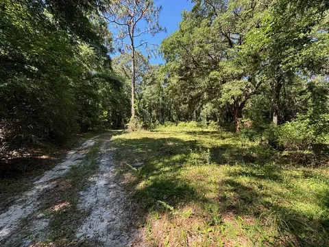 1781 Wax Myrtle Rd, Tallahassee, FL 32305