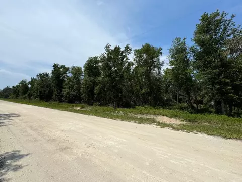 44 Pompano Pl, Perry, FL 32348
