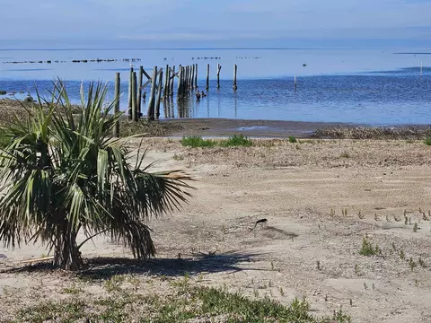 tbd Cedar Island Rd, Perry, FL 32348 photo 3