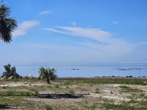 tbd Cedar Island Rd, Perry, FL 32348 photo 4