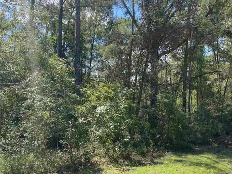 Vacant NE Blue Springs Church Road, Lee, FL 32059