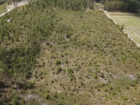 Vacant NE Beulah Church Road, Lee, FL 32059