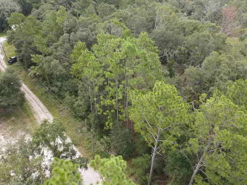 0 Kays Rd, Perry, FL 32347 photo 16