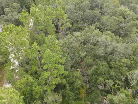 0 Kays Rd, Perry, FL 32347 photo 13