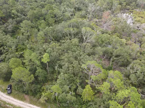 0 Kays Rd, Perry, FL 32347 photo 9