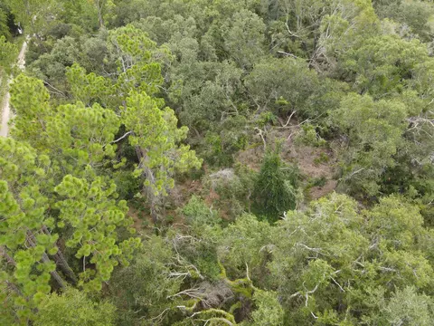 0 Kays Rd, Perry, FL 32347 photo 14