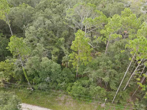0 Kays Rd, Perry, FL 32347 photo 10