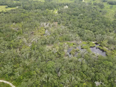 0 Kays Rd, Perry, FL 32347 photo 4