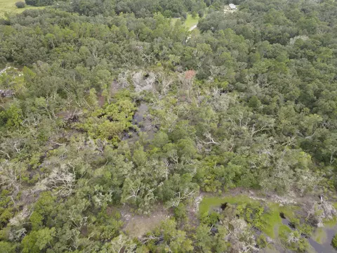 0 Kays Rd, Perry, FL 32347 photo 6