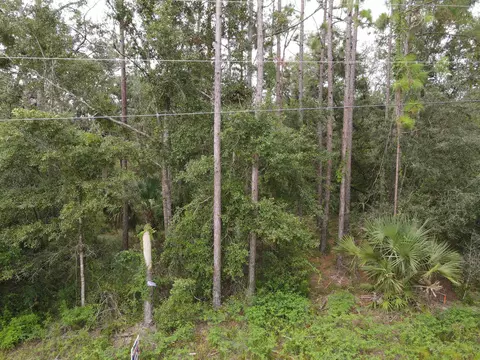 0 Kays Rd, Perry, FL 32347 photo 17
