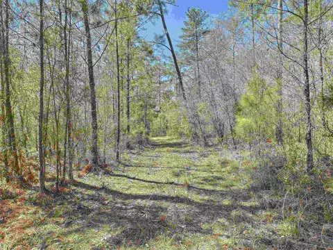 00 Canopy Ln, Perry, FL 32347 photo 20