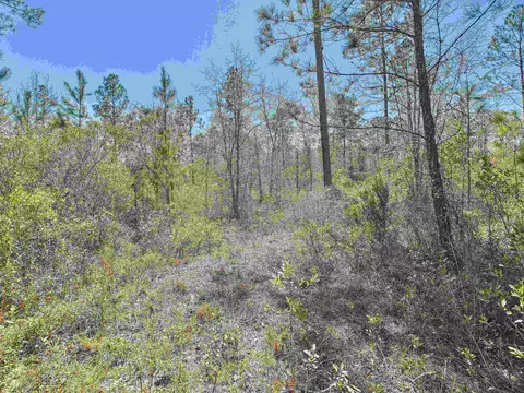 00 Canopy Ln, Perry, FL 32347 photo 22
