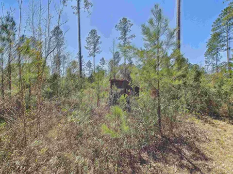 00 Canopy Ln, Perry, FL 32347 photo 23