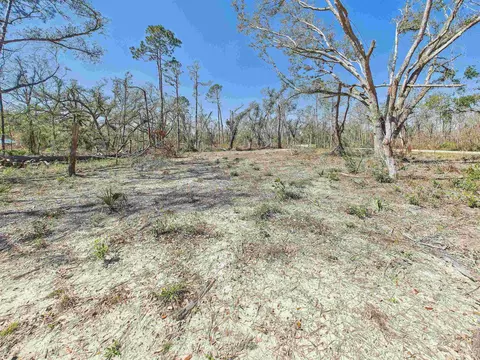 00 Canopy Ln, Perry, FL 32347 photo 5
