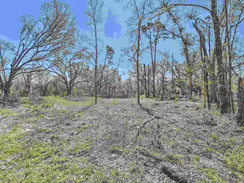 00 Canopy Ln, Perry, FL 32347 photo 10