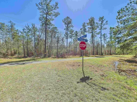 00 Canopy Ln, Perry, FL 32347 photo 13