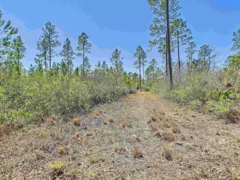 00 Canopy Ln, Perry, FL 32347 photo 25