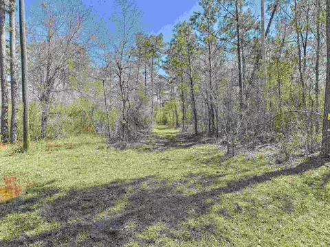 00 Canopy Ln, Perry, FL 32347 photo 16