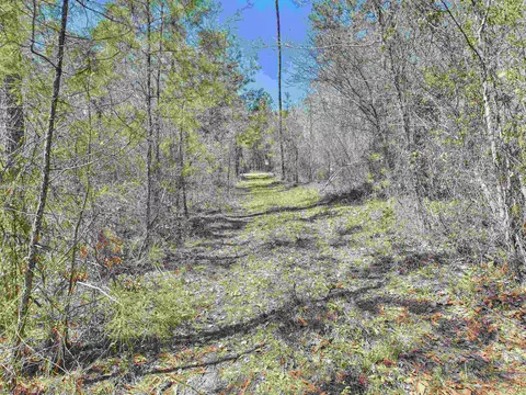 00 Canopy Ln, Perry, FL 32347 photo 19