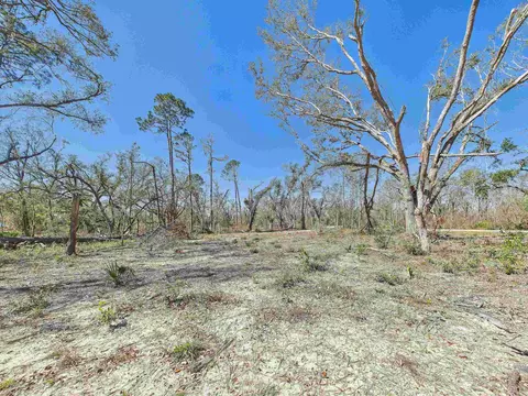 00 Canopy Ln, Perry, FL 32347 photo 6