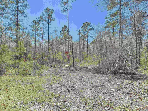00 Canopy Ln, Perry, FL 32347 photo 21