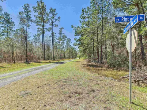 00 Canopy Ln, Perry, FL 32347 photo 15