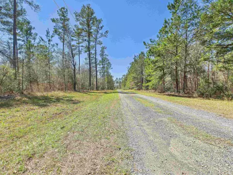 00 Canopy Ln, Perry, FL 32347 photo 17