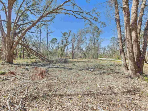 00 Canopy Ln, Perry, FL 32347 photo 8
