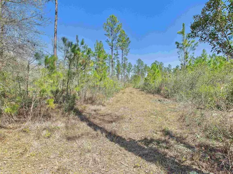 00 Canopy Ln, Perry, FL 32347 photo 24