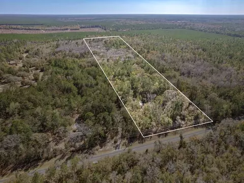 351 County Line Rd, Crawfordville, FL 32327