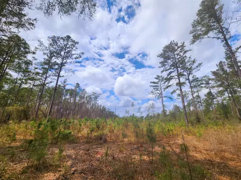 lot56 SW Paradise Way, Greenville, FL 32331