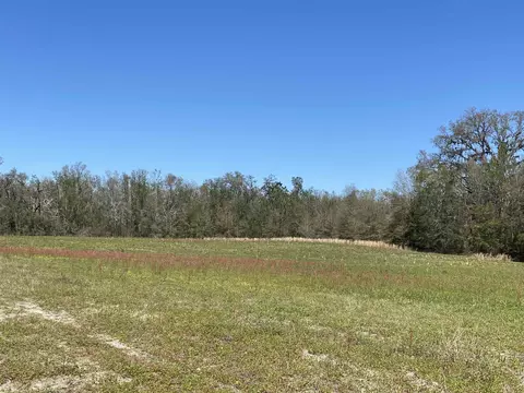 5377 Cattail Dr, Lee, FL 32059 photo 5