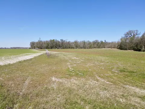 5377 Cattail Dr, Lee, FL 32059 photo 18