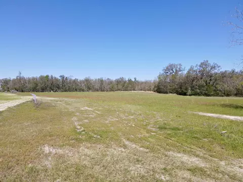 5377 Cattail Dr, Lee, FL 32059 photo 16