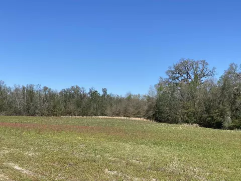 5377 Cattail Dr, Lee, FL 32059 photo 11
