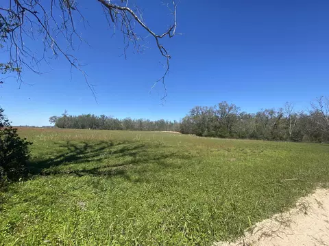 5377 Cattail Dr, Lee, FL 32059 photo 9