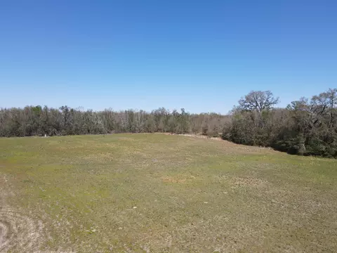 5377 Cattail Dr, Lee, FL 32059