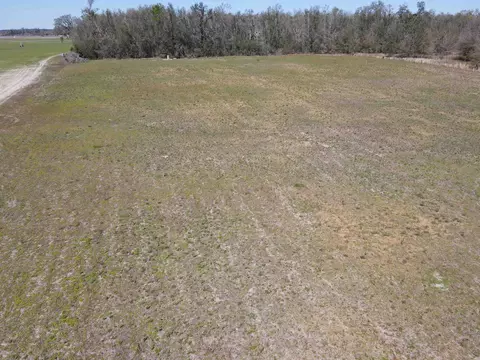5377 Cattail Dr, Lee, FL 32059 photo 8