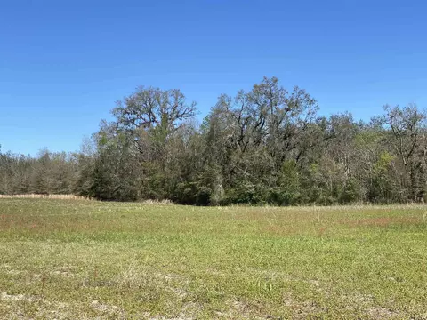 5377 Cattail Dr, Lee, FL 32059 photo 6