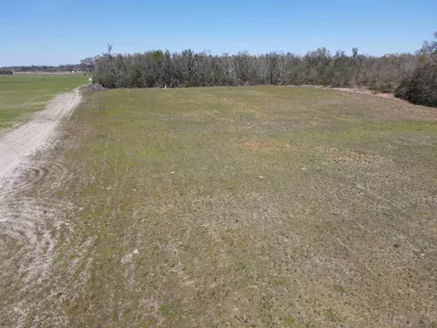 5377 Cattail Dr, Lee, FL 32059 photo 19