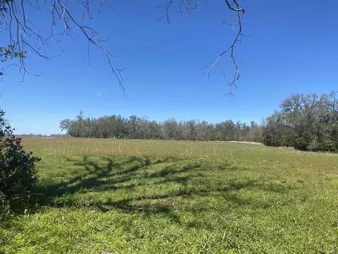 5377 Cattail Dr, Lee, FL 32059 photo 7