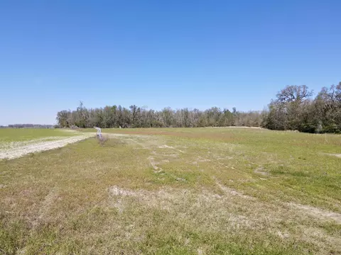 5377 Cattail Dr, Lee, FL 32059 photo 13