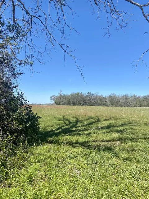 5377 Cattail Dr, Lee, FL 32059 photo 12