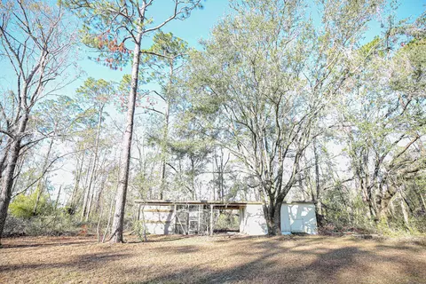 1775 Pine Bluff Rd, Perry, FL 32348 photo 32