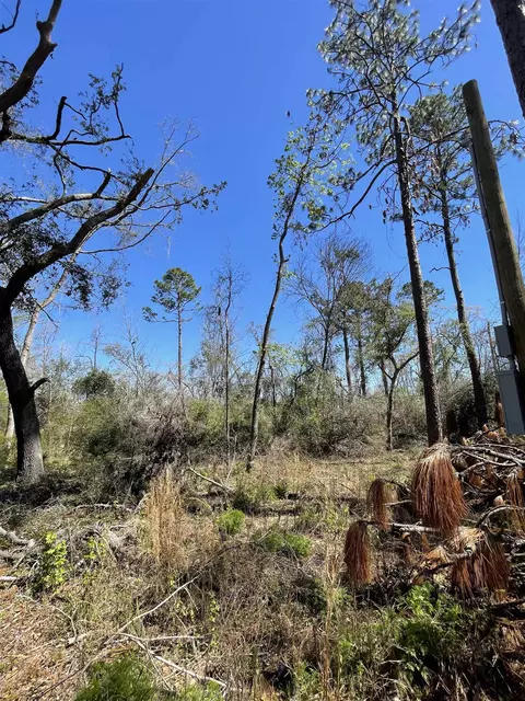 Vacant NE Chervil Drive, Lee, FL 32059 photo 6