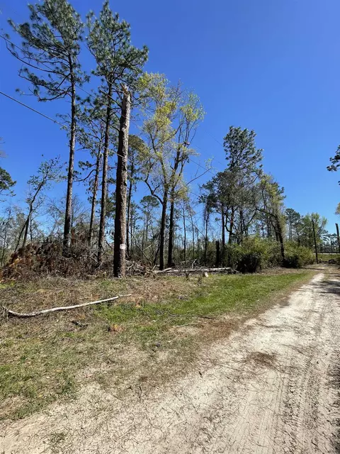 Vacant NE Chervil Drive, Lee, FL 32059 photo 3